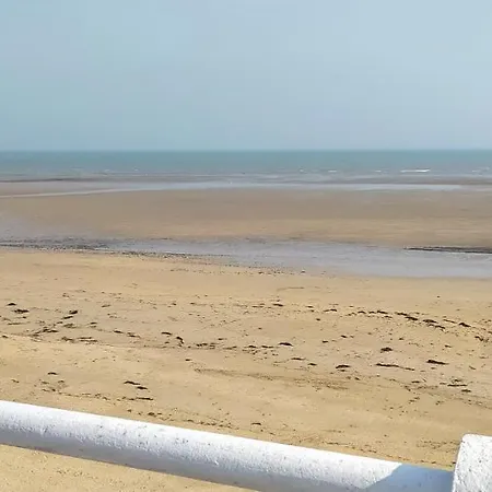 Alcyon Lion-sur-Mer